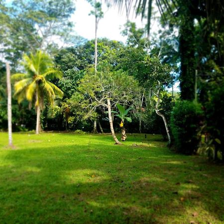 Casita Amarilla Villa Cahuita Exteriör bild