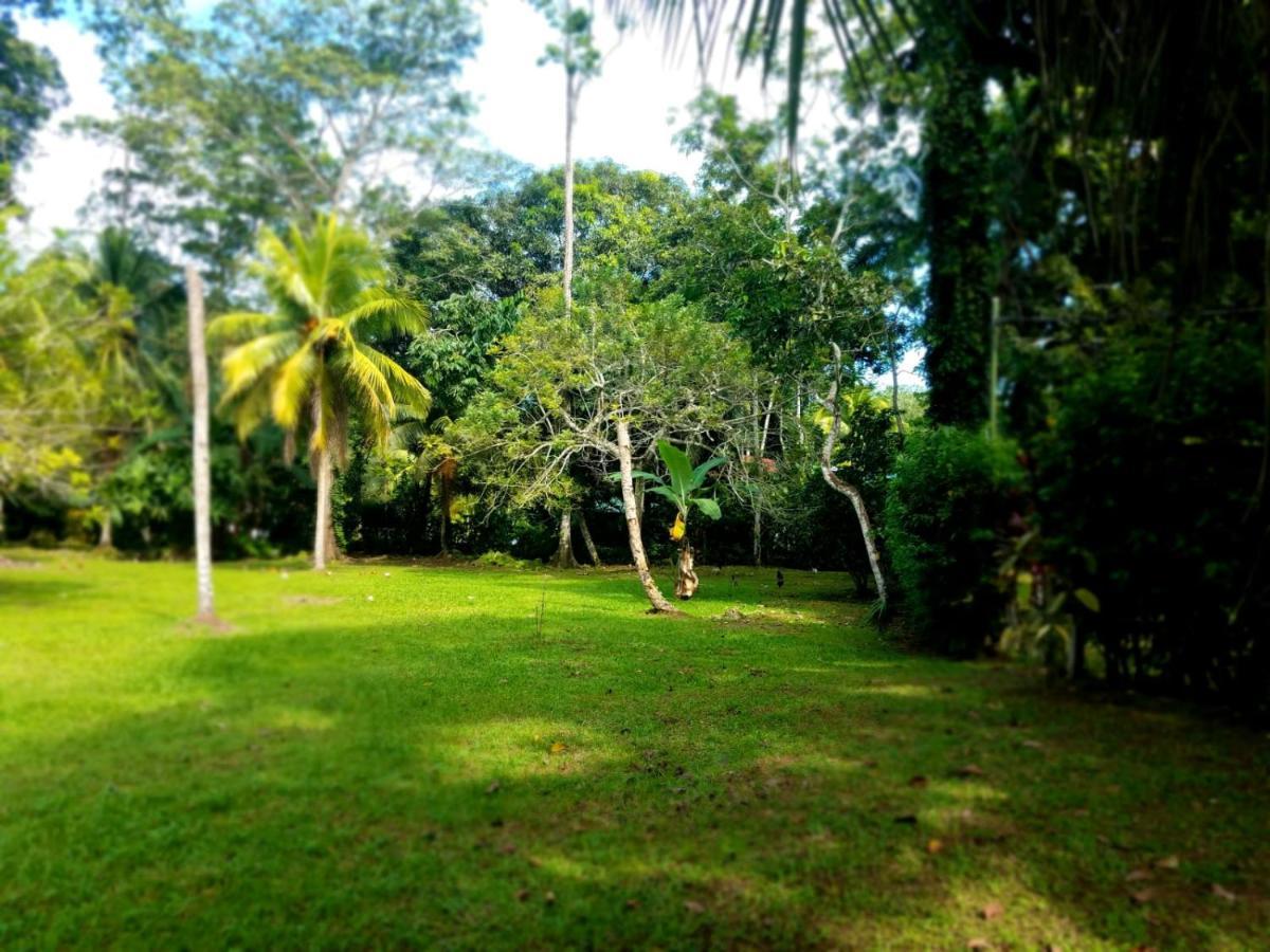 Casita Amarilla Villa Cahuita Exteriör bild